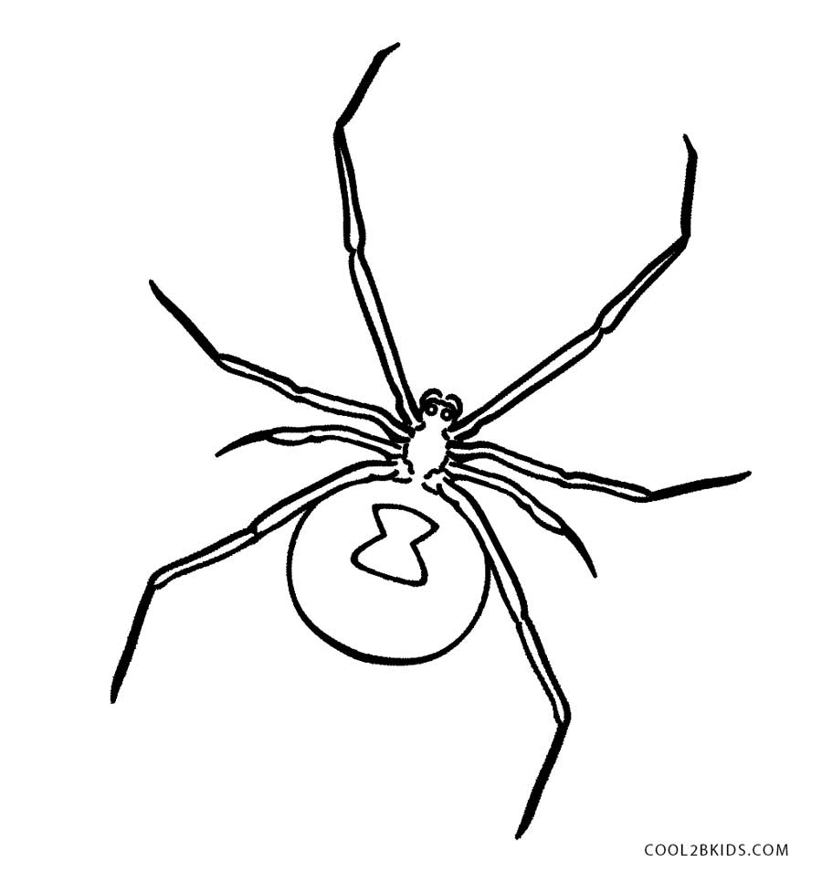 Ausmalbilder Spinne   Malvorlagen kostenlos zum ausdrucken