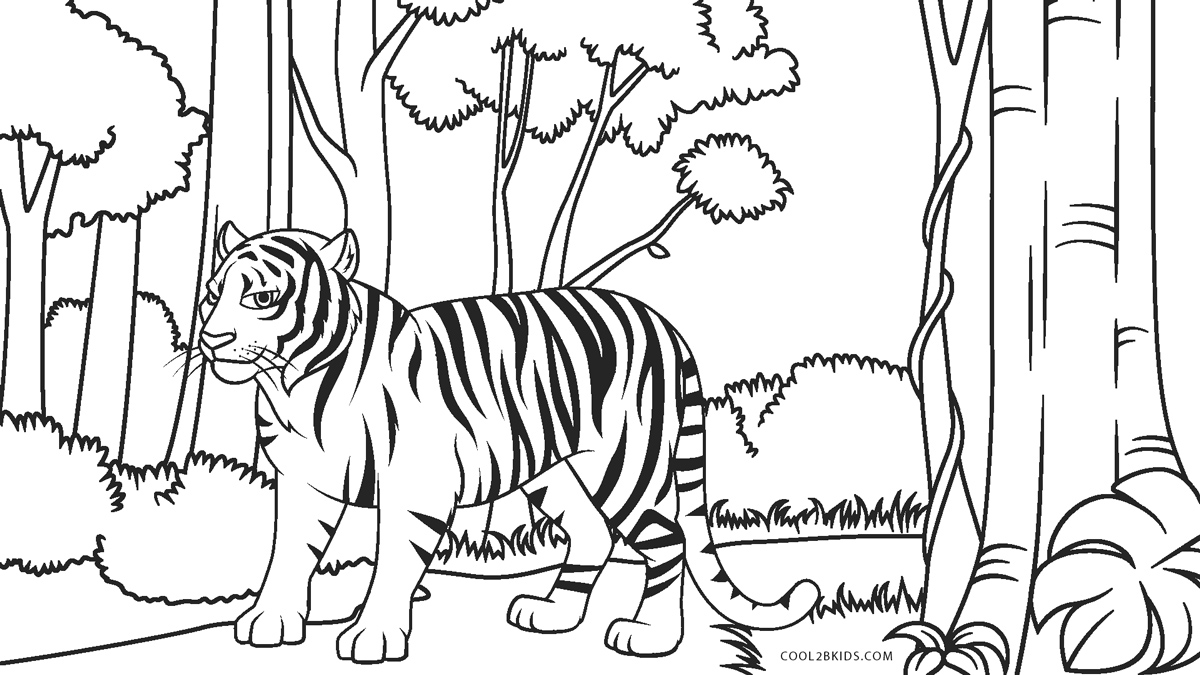 Ausmalbilder Tiger - Malvorlagen kostenlos zum ausdrucken
