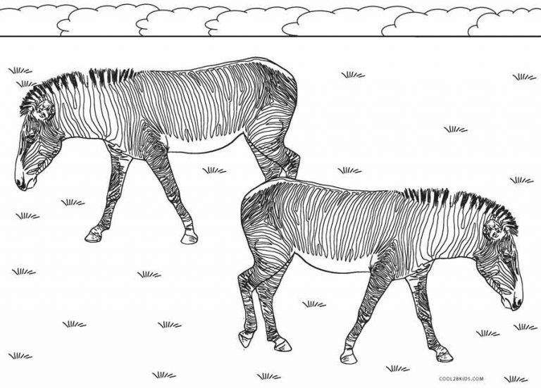 ausmalbilder zebra  malvorlagen kostenlos zum ausdrucken