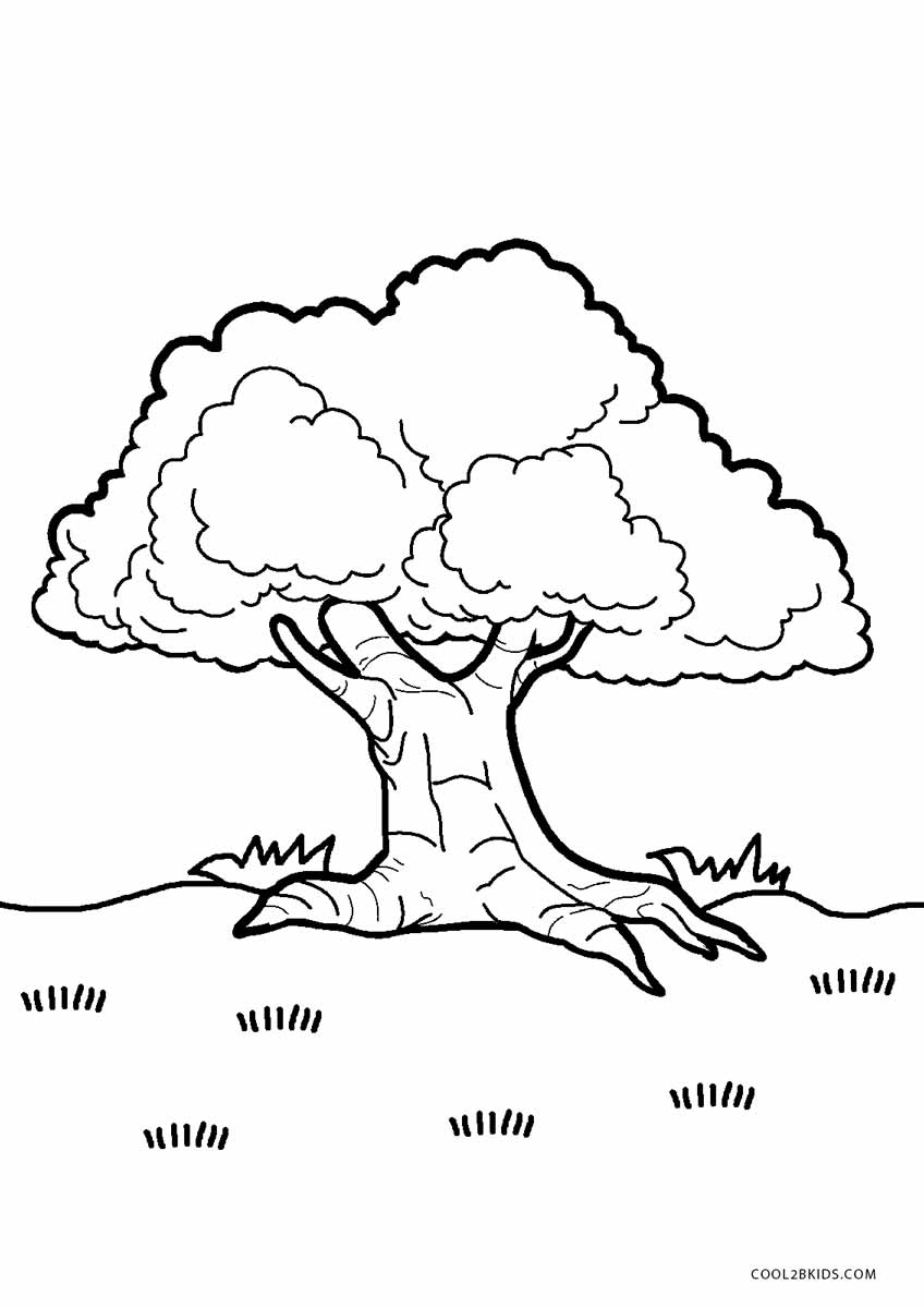 Desenho de Quadro de árvore para colorir - Tudodesenhos