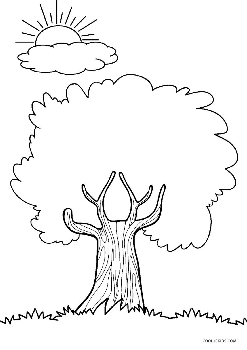 Desenho árvore Para Colorir - MODISEDU