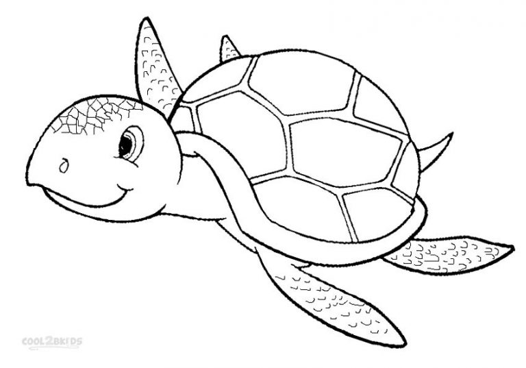 Coloriages  Tortue Marine  Coloriages Gratuits à Imprimer