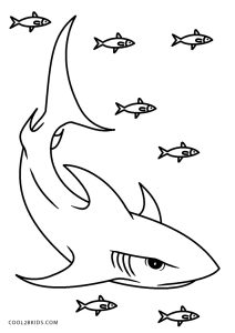Tubarão Para Colorir - Várias Espécies Para Imprimir e Pintar