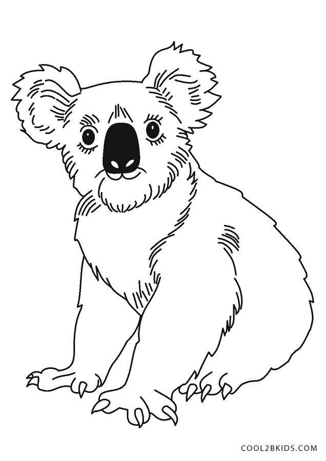 Desenhos de Coala para colorir Páginas para impressão grátis