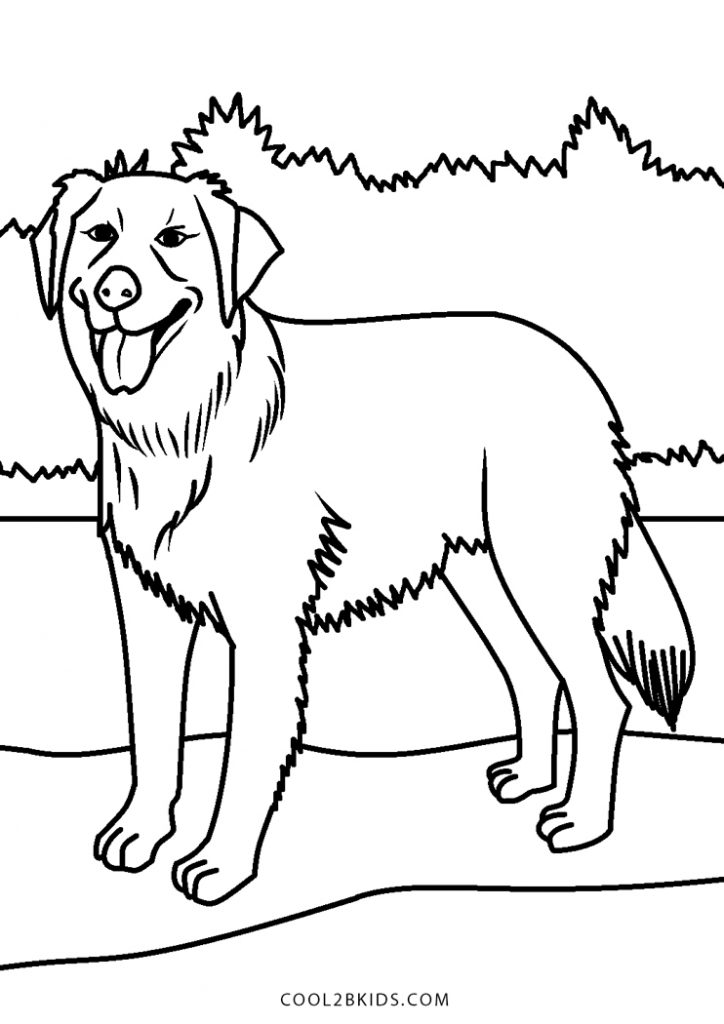Coloriages  Chien  Coloriages Gratuits à Imprimer