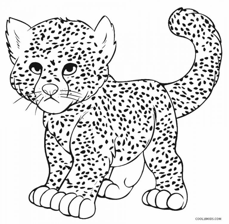 Coloriages  Guépard  Coloriages Gratuits à Imprimer