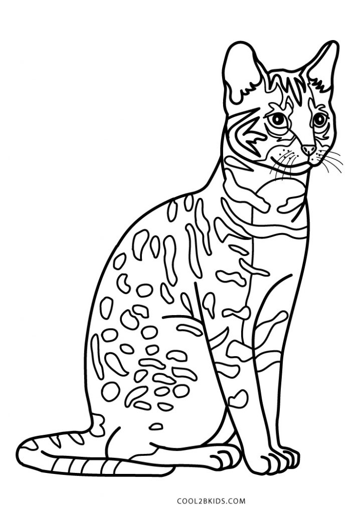 Coloriages  Chat  Coloriages Gratuits à Imprimer