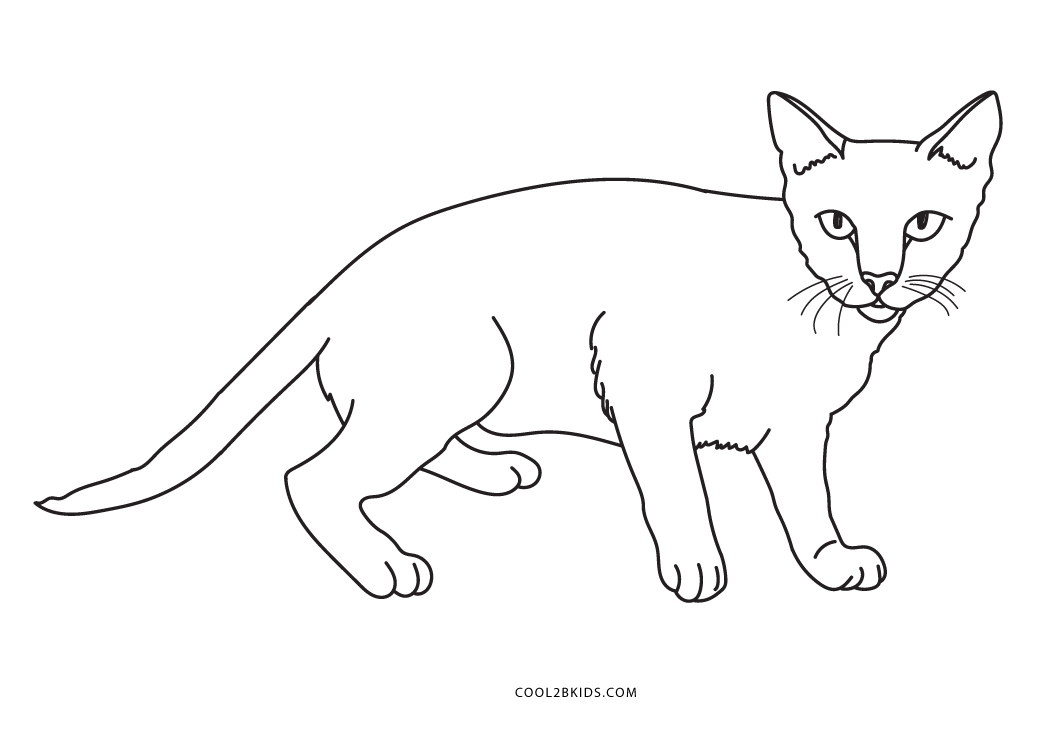 Coloriages  Chat  Coloriages Gratuits à Imprimer