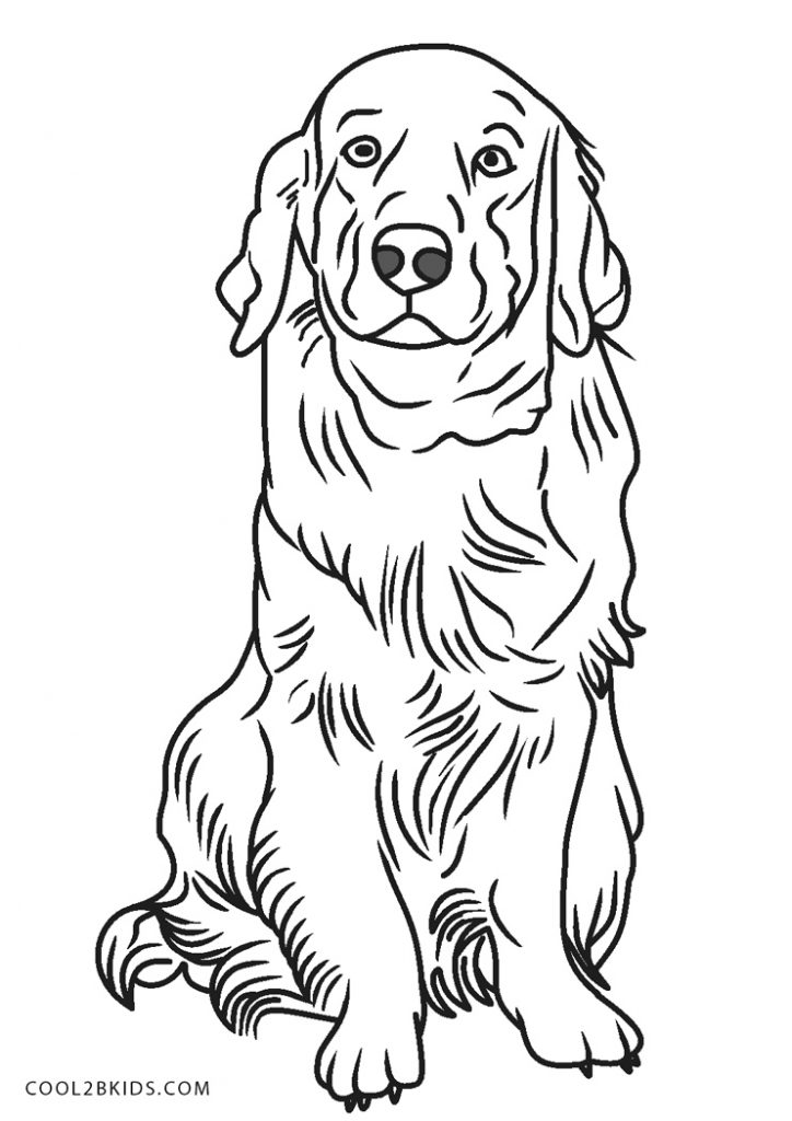 Coloriages  Chien  Coloriages Gratuits à Imprimer