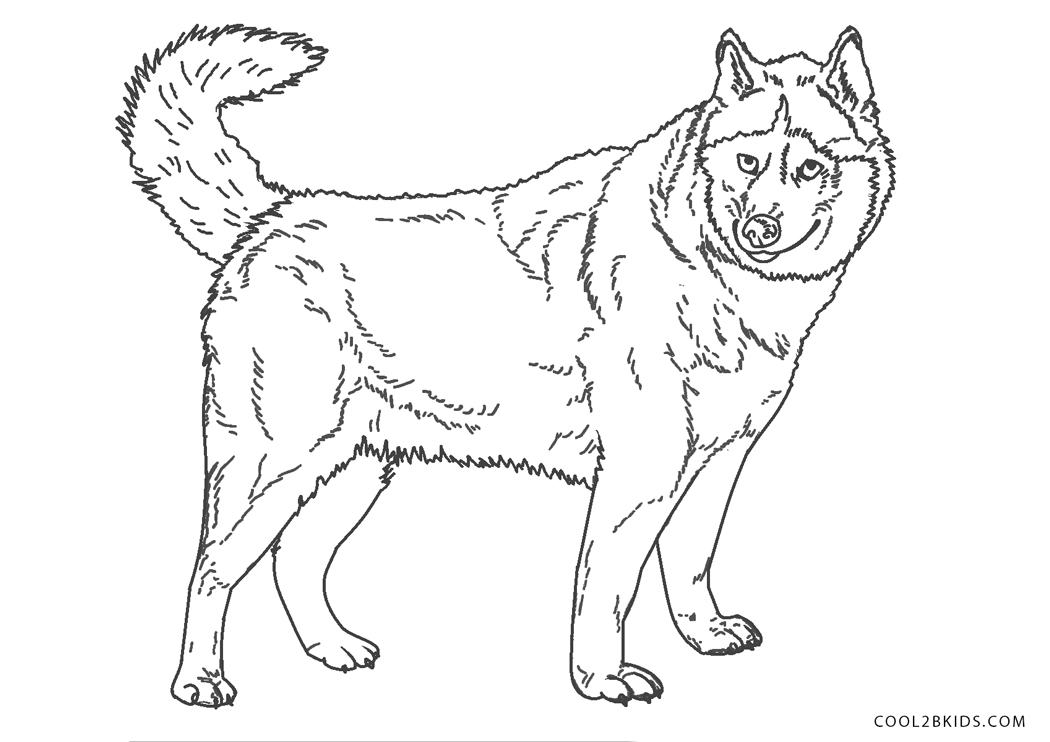 Coloriages  Chien  Coloriages Gratuits à Imprimer