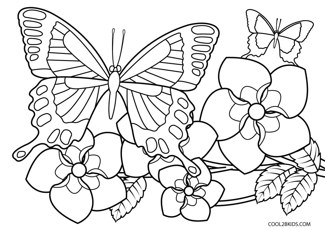 Coloriages  Papillon  Coloriages Gratuits à Imprimer