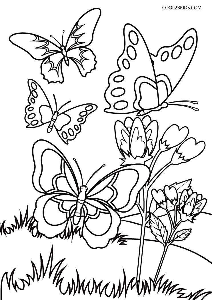 Coloriages  Papillon  Coloriages Gratuits à Imprimer