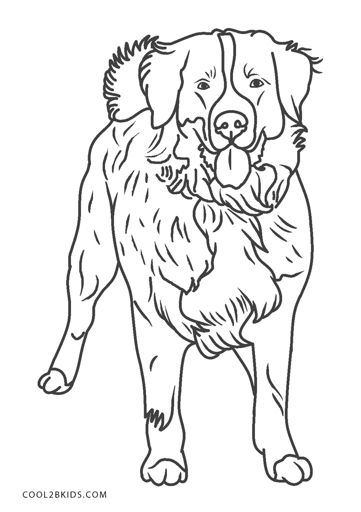 Coloriages  Chien  Coloriages Gratuits à Imprimer
