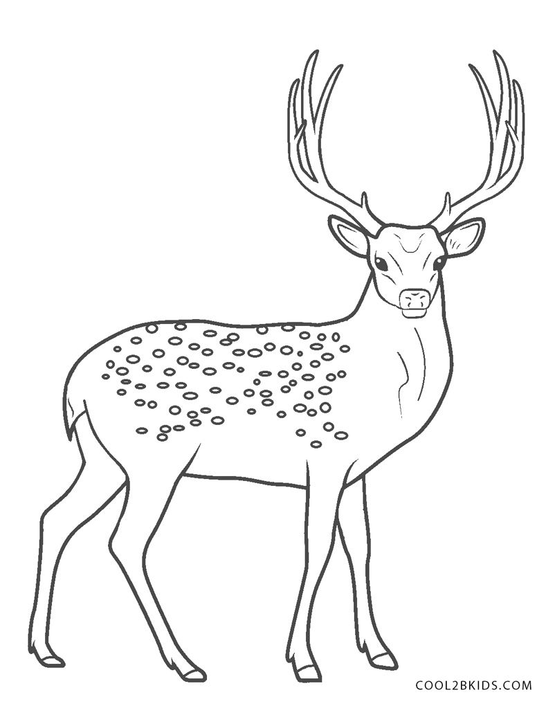 Coloriages Cerf Coloriages Gratuits à Imprimer