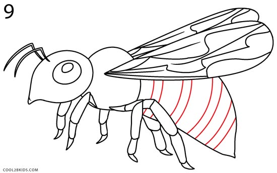 Desenhos de Abelha - Como desenhar Abelha passo a passo