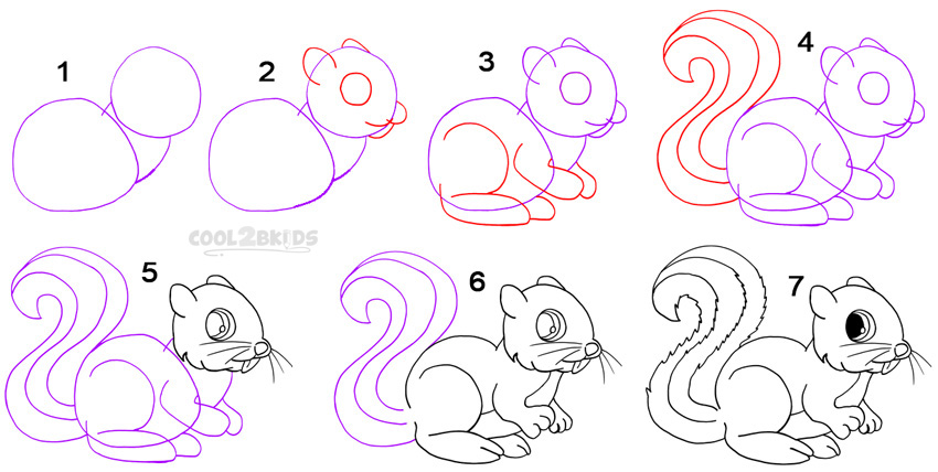 Como Desenhar um ESQUILO  How to Draw Squirrel 