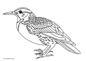 black throated gray turkey coloring pages