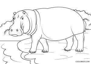 Free Printable Animal Coloring Pages For Kids - Cool2bKids