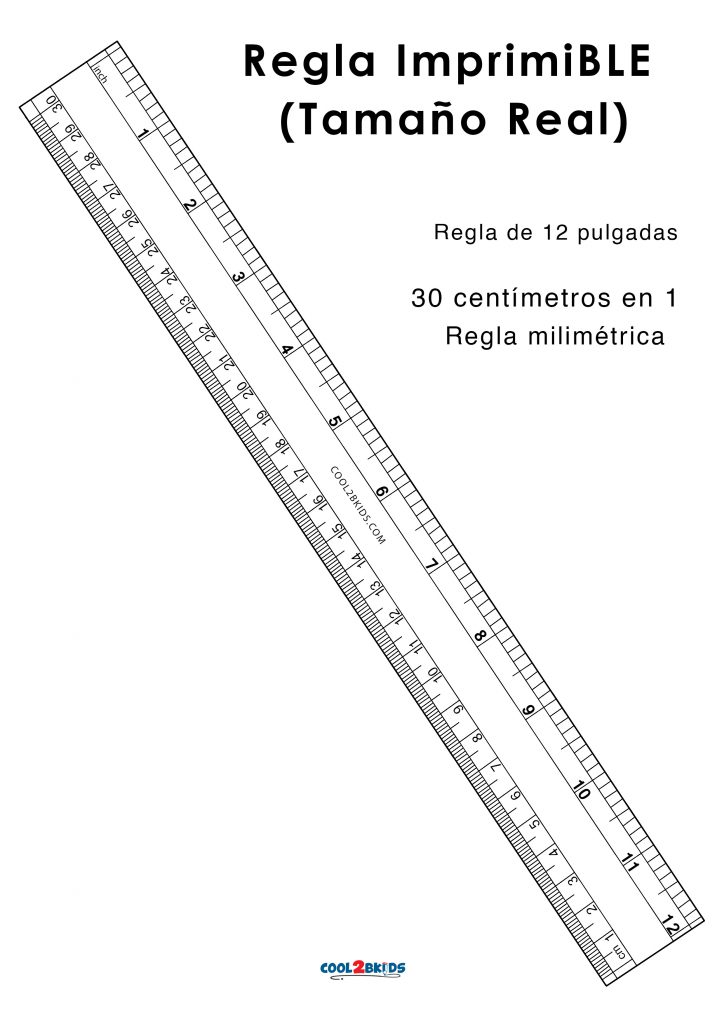 Personal Mansión Fraseología Regla Para Imprimir de 12 pulgadas - Cool2bKids