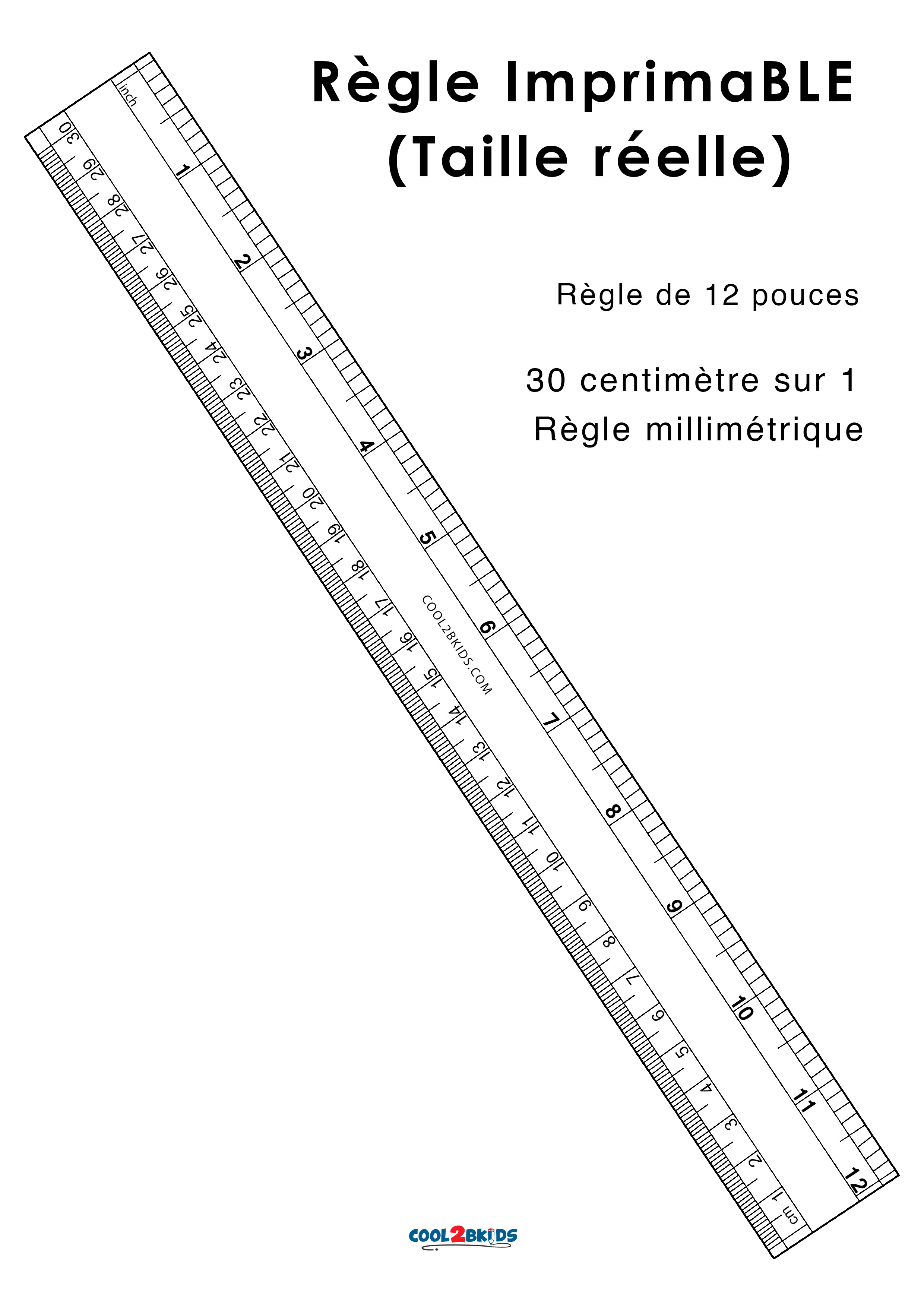 tellaLuna 50cm Clair Plastique Mesurant Longue Droite Centimetre Regle 
