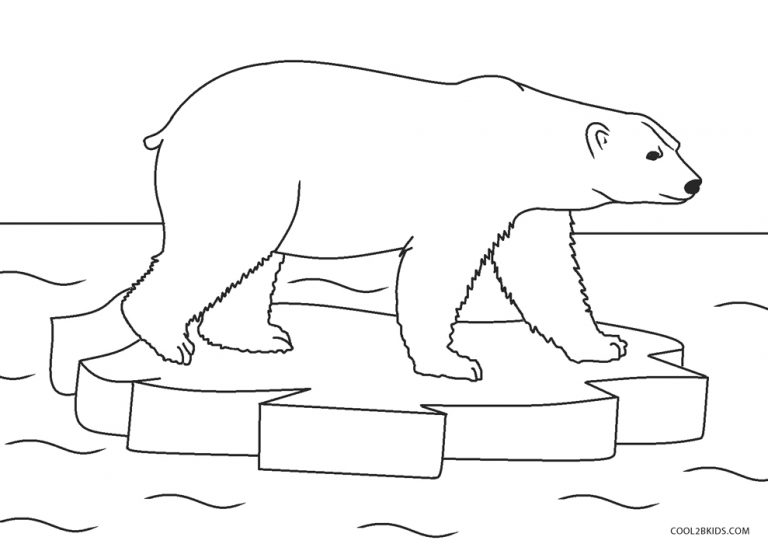 Coloriages  Ours  Coloriages Gratuits à Imprimer