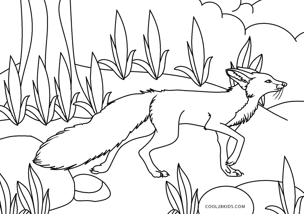 Coloriages  Renard  Coloriages Gratuits à Imprimer