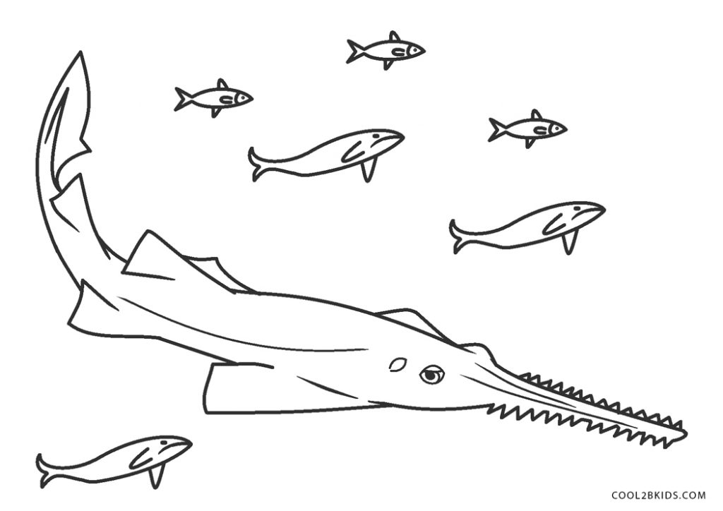 Coloriages  Requin  Coloriages Gratuits à Imprimer
