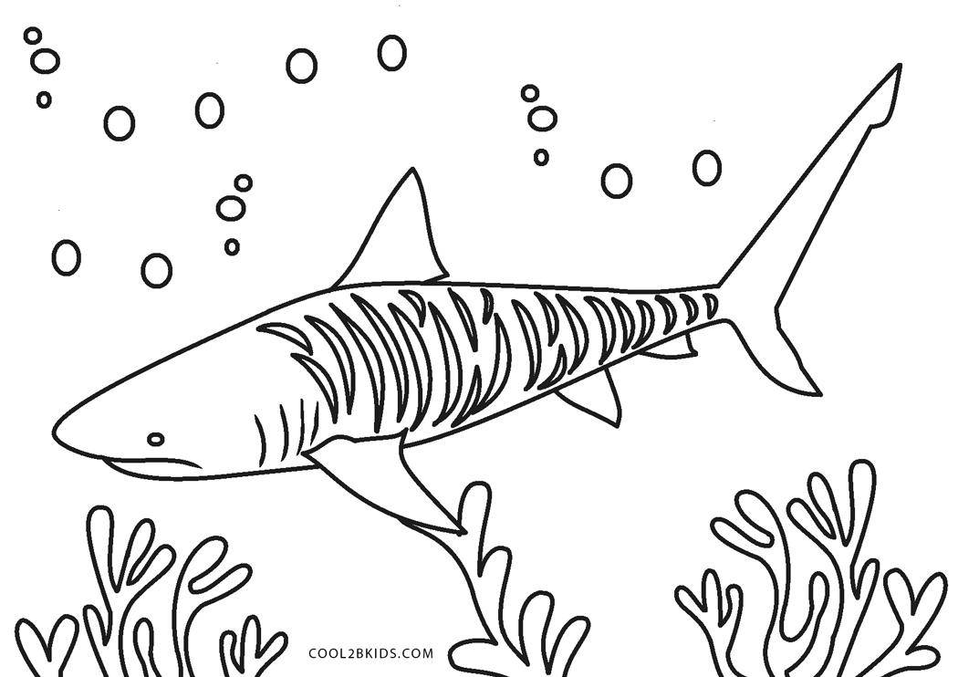 Coloriages  Requin  Coloriages Gratuits à Imprimer
