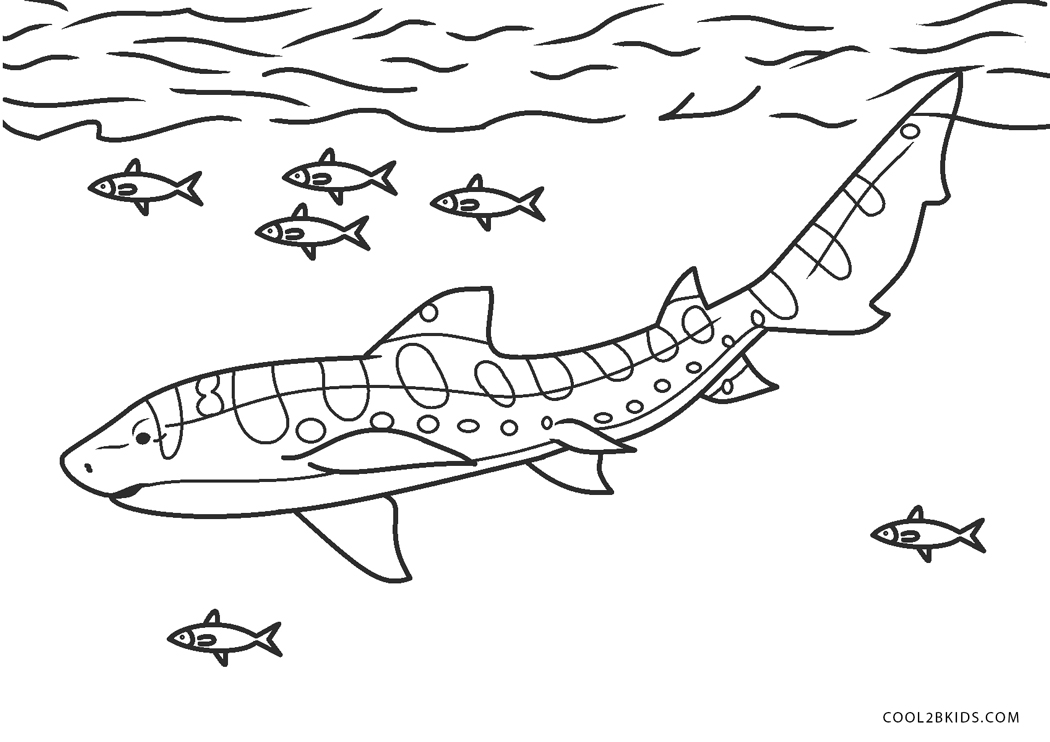 Coloriages  Requin  Coloriages Gratuits à Imprimer
