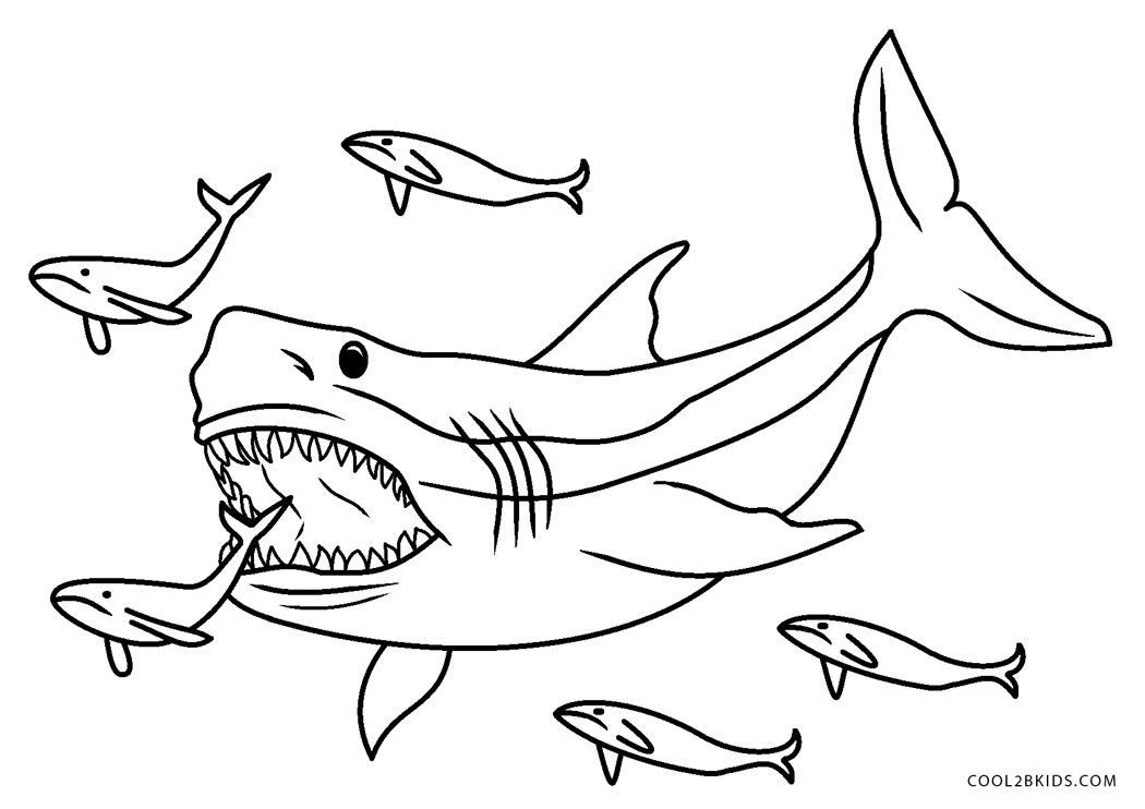 Coloriages  Requin  Coloriages Gratuits à Imprimer