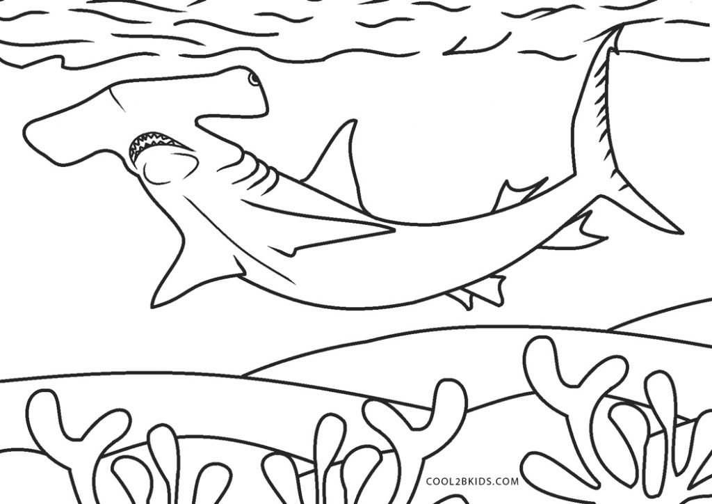 Coloriages  Requin  Coloriages Gratuits à Imprimer