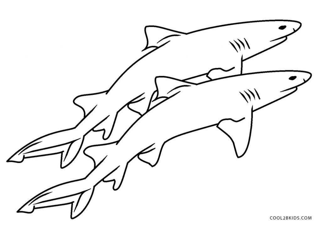 Coloriages  Requin  Coloriages Gratuits à Imprimer