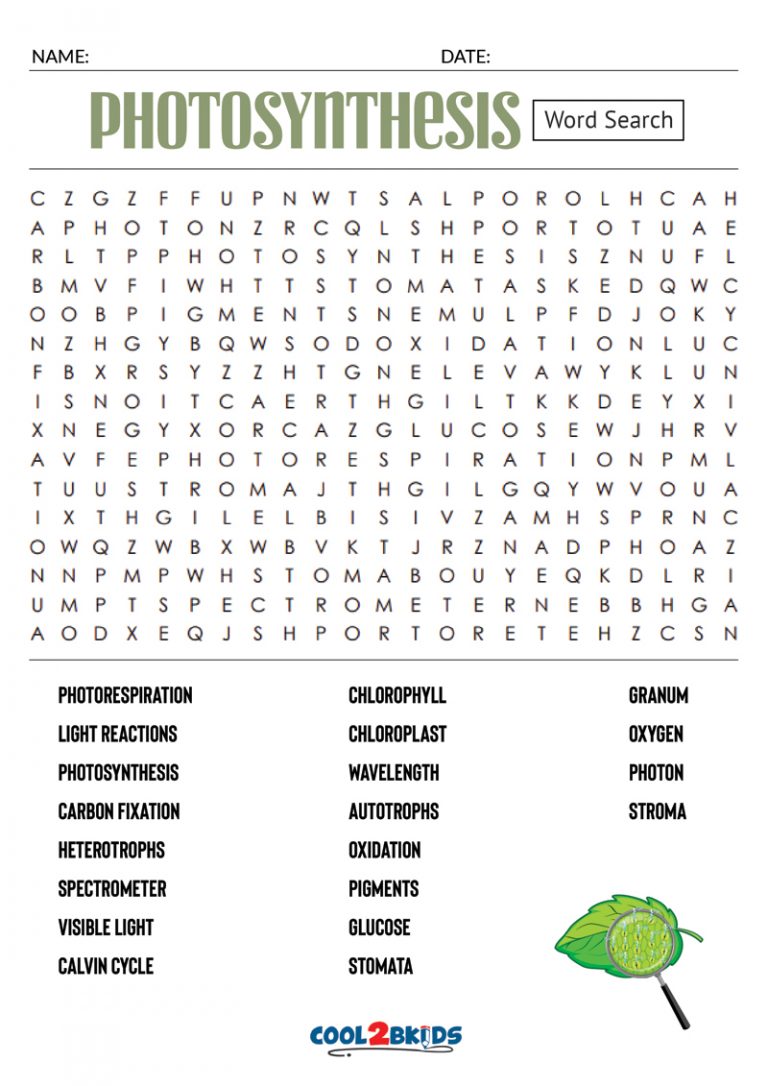 Printable photosynthesis word search cool2bkids