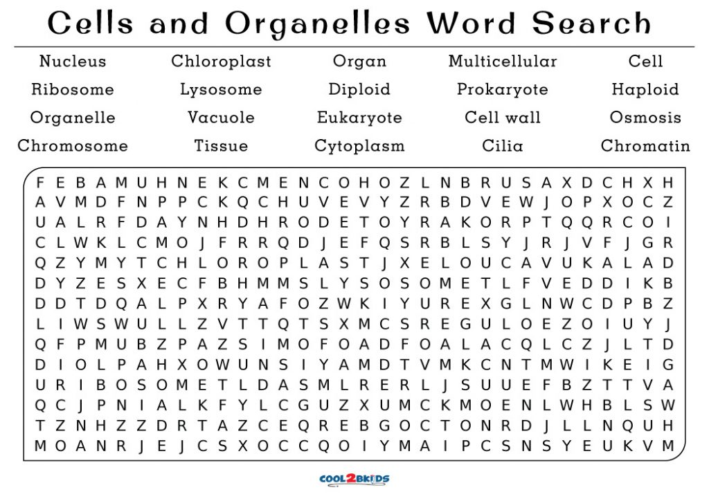 printable-7th-grade-word-search