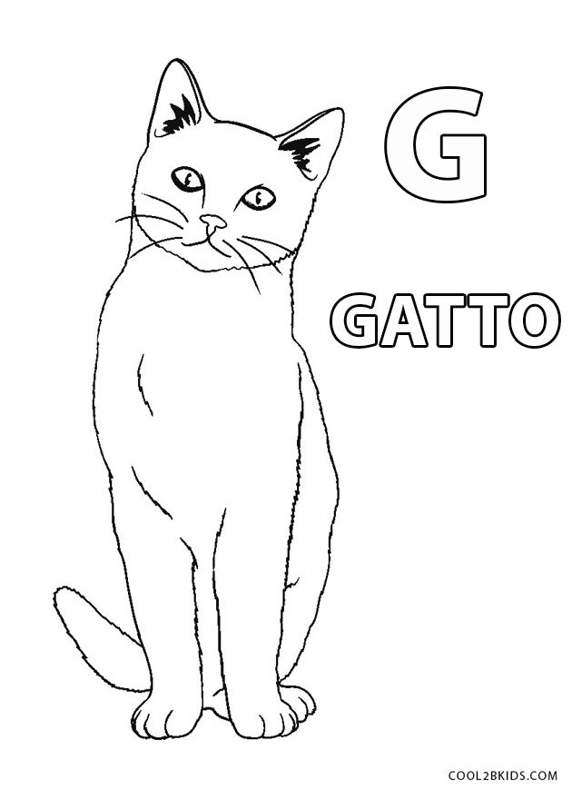 Белая кошка по английски. Кошки. Раскраска. Cat раскраска. Раскраска кошечка. Кошка по английскому
