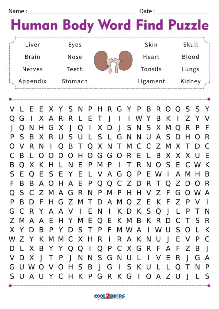 Printable Human Body Word Search