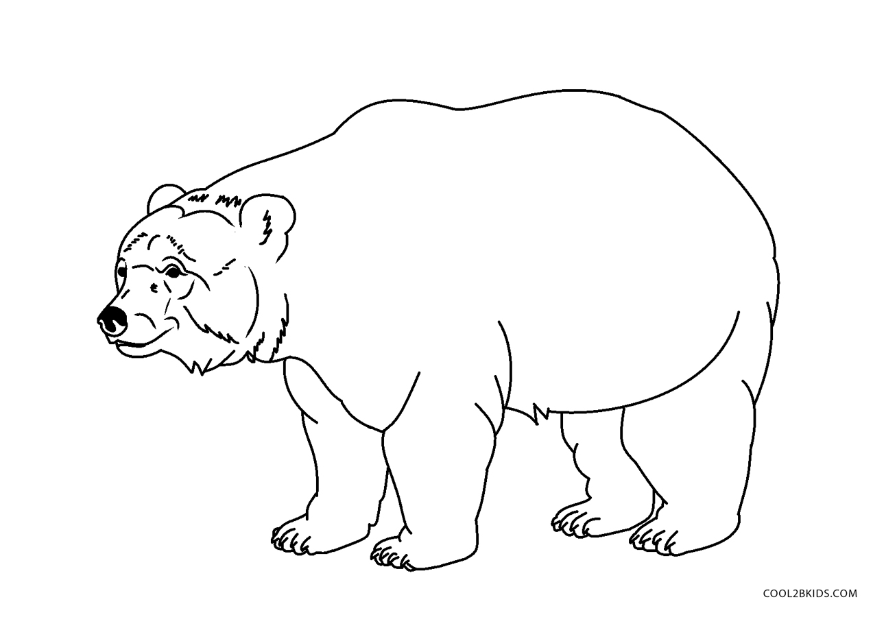 Disegno da colorare orso - Disegni Da Colorare E Stampare Gratis - Imm.  26995