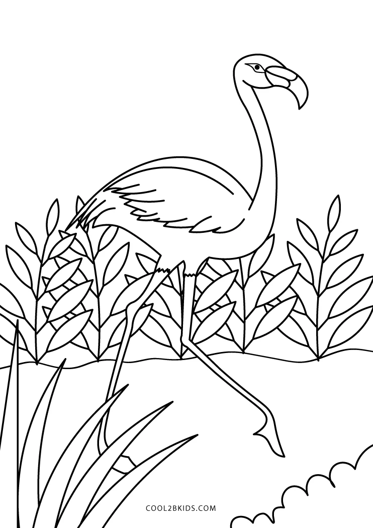 black throated gray turkey coloring pages