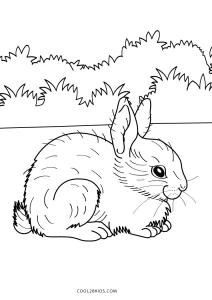 7000 Coloring Pages Of A Bunny  Latest HD