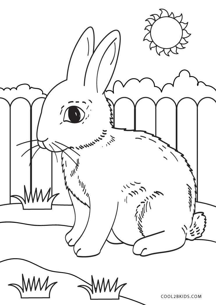 Rabbit Drawing for Kids - HelloArtsy