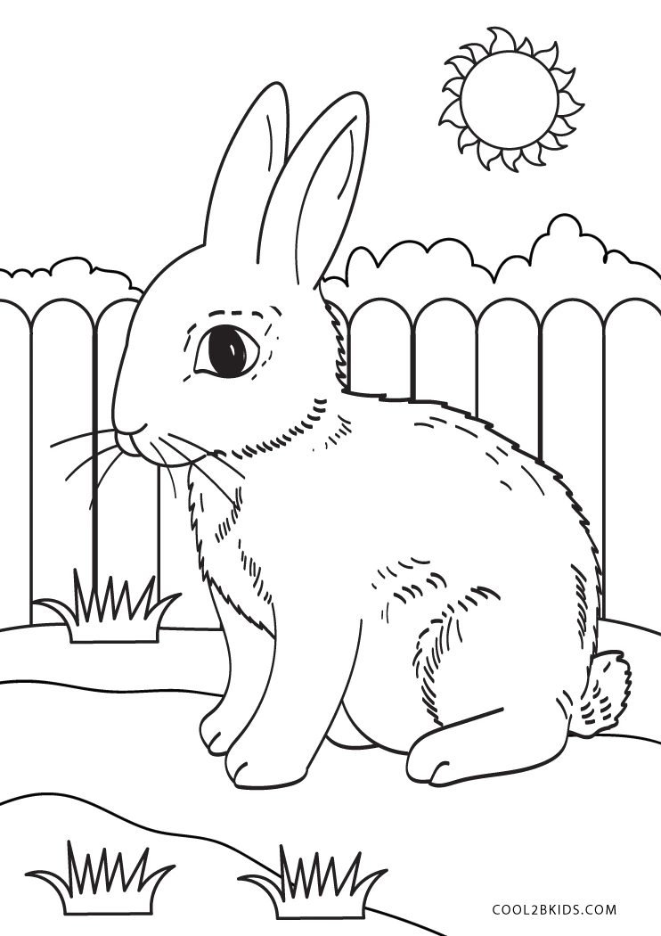 bunny coloring pages