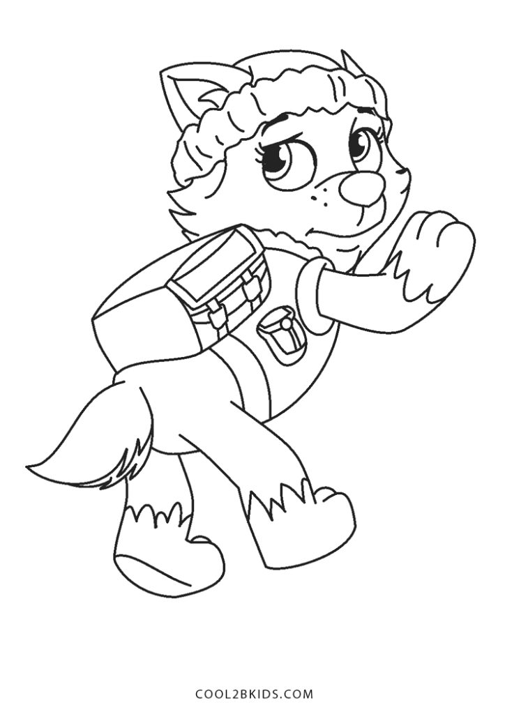 Coloriages Pat Patrouille  Cool2bKids