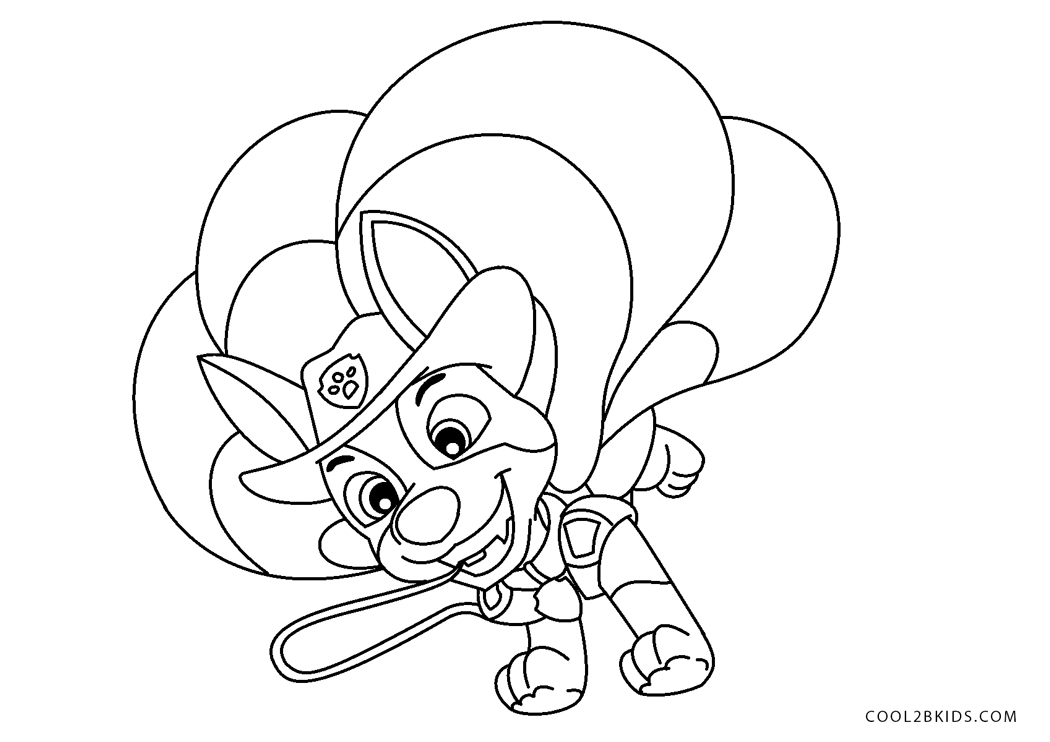 Coloriages Pat Patrouille  Cool2bKids