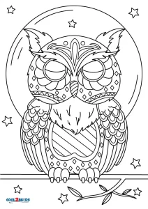 Coloring Books For Teens : Owls: Advanced Coloring Pages for Teenagers,  Tweens, Older Kids, Boys & Girls, Detailed Zendoodle Animal Designs,  Creative