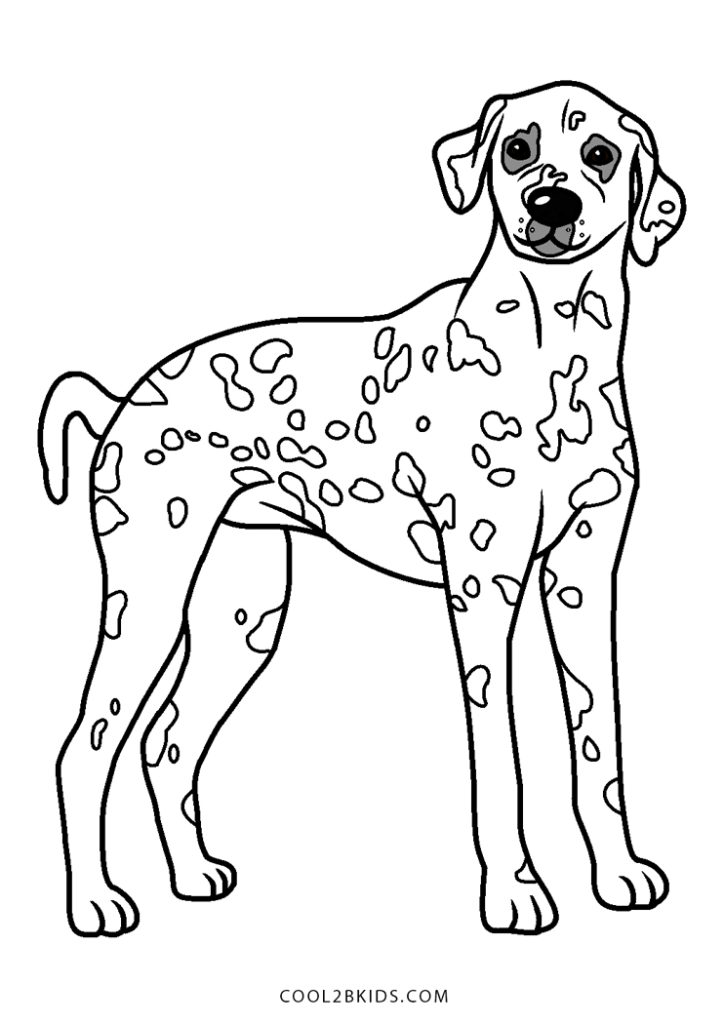 Free Printable Dalmatian Coloring Pages For Kids