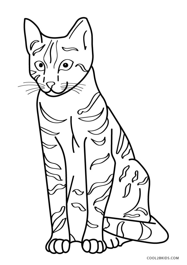 Free Printable Tabby Cat Coloring Pages For Kids